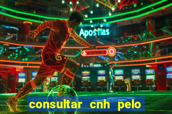 consultar cnh pelo cpf sp